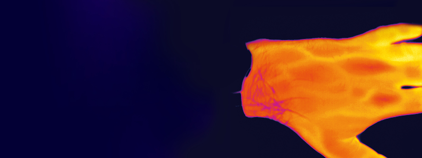 Advanced IR Solutions for Medical Applications and Pharmaceutical Production
